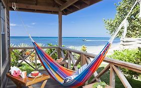 Las Rocas Resort And Dive Center